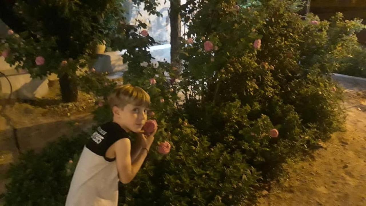 בית הארחה Ipekyolu Garden